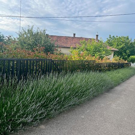 Neon Apartman Csopak Balaton Екстериор снимка
