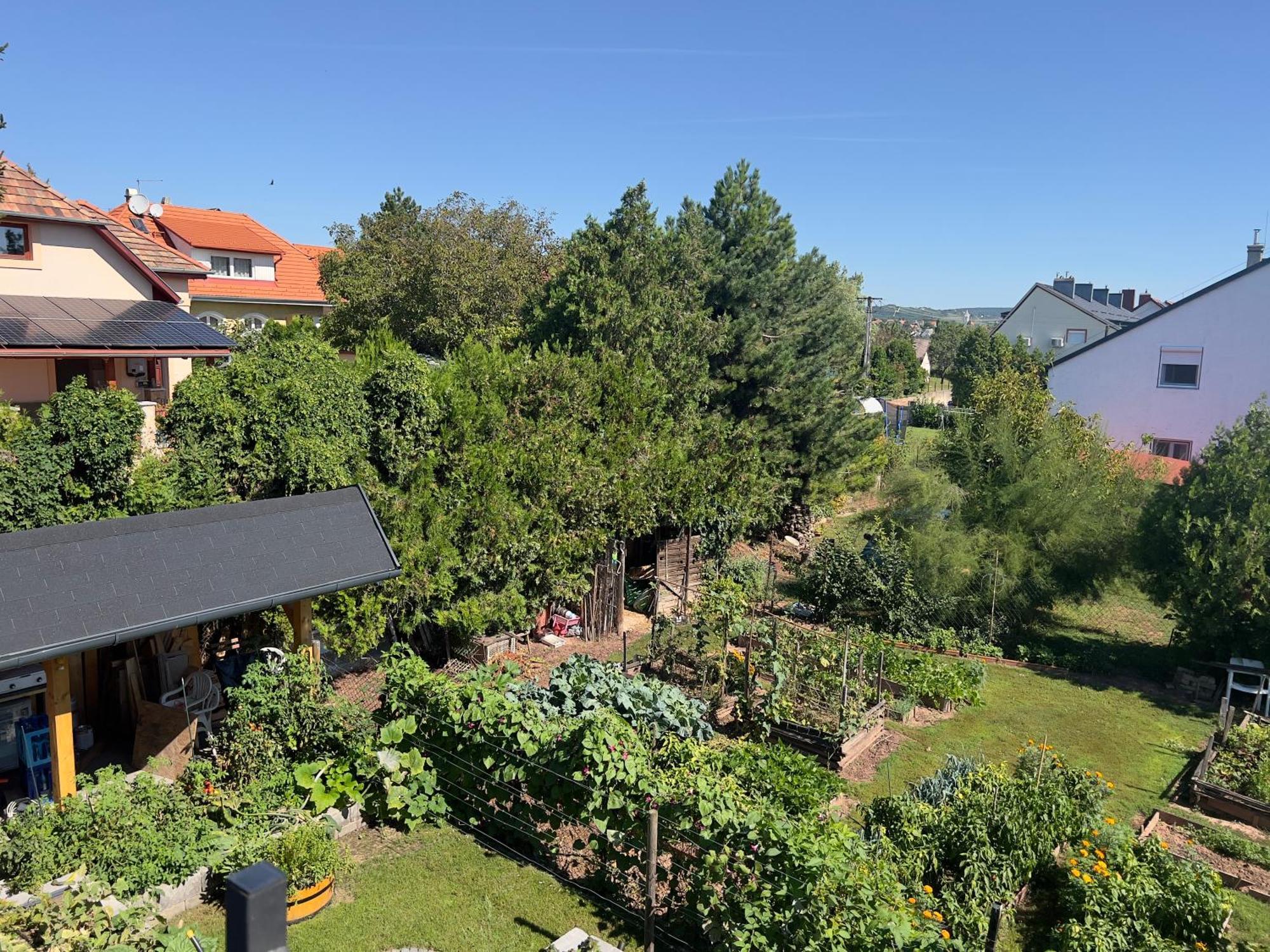Neon Apartman Csopak Balaton Екстериор снимка